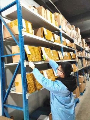 武漢按下“重啟鍵” 躍萊安全有序復工促質保量保服務